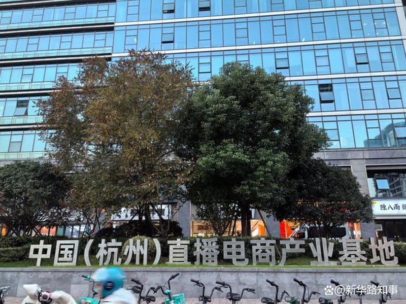 拼多多运营:把握电商潮流的新机遇